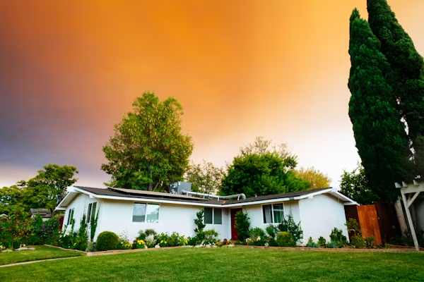 Il Ruolo degli Alberi nel Settore Immobiliare: Sostenibilità e Valorizzazione